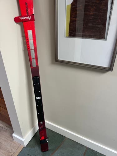 New 2023 Atomic 159 cm Racing Redster FIS GS Skis