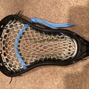 New  Strung Stallion U 550 Head