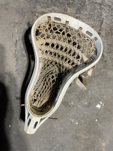 Brine E3 Lax Head