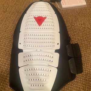 Dainese Ski racing back protector