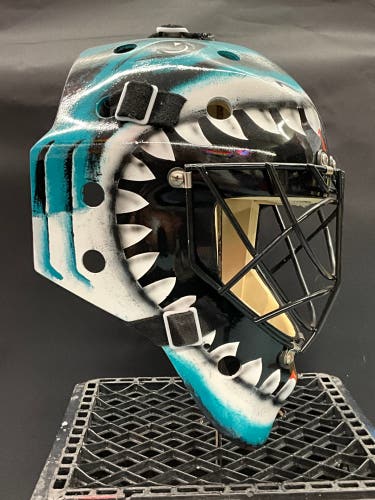 EDDY Vintage Refurbished Goalie mask Brian Hayward