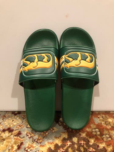 Chicago Cougars Shower Slides