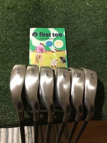 Callaway Ladies Big Bertha Gems Irons Set (5-GW-SW, No 7 Iron) 65i Graphite