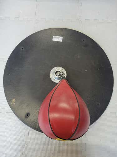 Used Everlast Speedbag And Mount Speed Bags