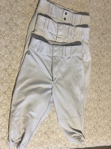 Baseball practice pants / knickers