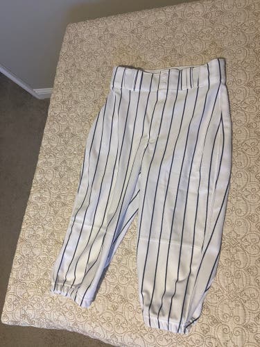 New pinstripe youth knicker pants