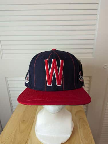 NWT Washington Senators Pro Standard Snapback Hat MLB