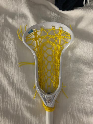 Maverik ascent pro