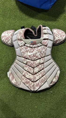 Used  Nike Catcher's Set