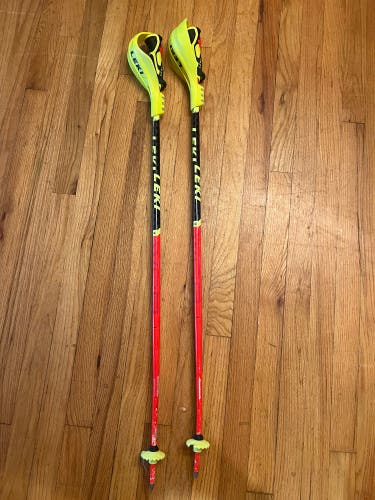 Used 42in (105cm) Racing World Cup Lite SL Ski Poles with Jr Gate Guards