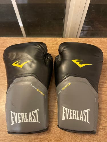 New Everlast Boxing Gloves