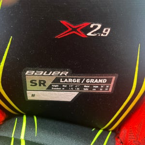 Men’s Vapor X 2.9 hockey pants