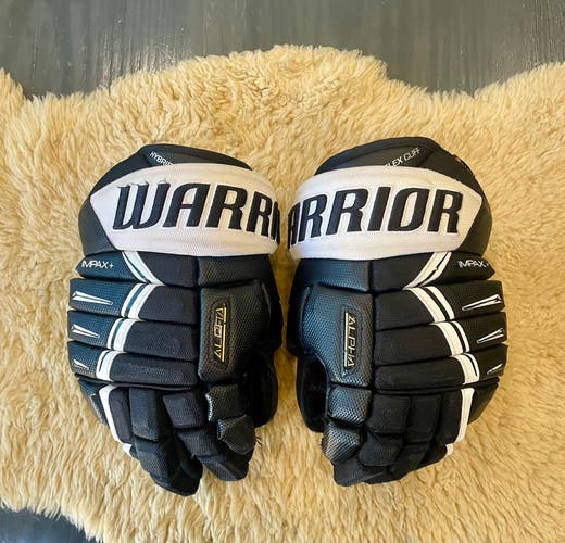 Used Warrior Alpha dx Gloves 13"