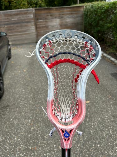 Used Strung Powell Pioneer 2 Head