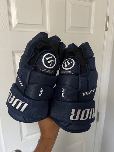 Warrior 13" Alpha FR2 Gloves