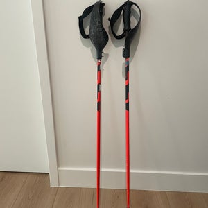 44in (110cm) Ski Poles with Guards