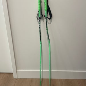 46in (115cm) Racing Ski Poles