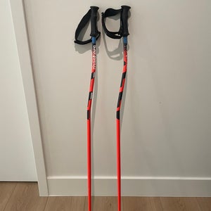 Used 44in (110cm)  Ski Poles