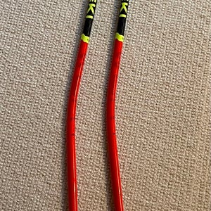 Leki GS WCR TBS Ski Poles