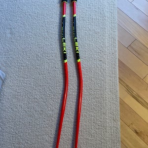 Used 44in (110cm) Racing World Cup Lite GS Ski Poles