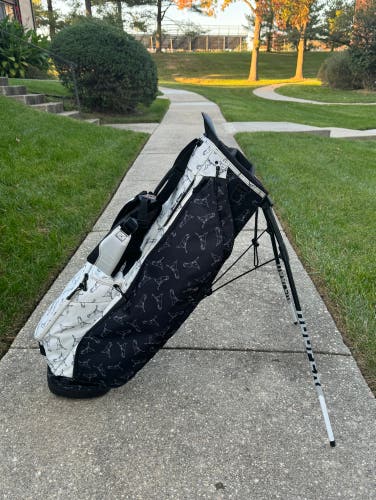 PING HOOFER LITE STAND GOLF BAG