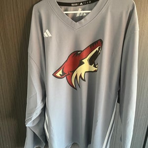 Gray Used Large Adidas Jersey