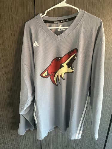 Gray Used Large Adidas Jersey