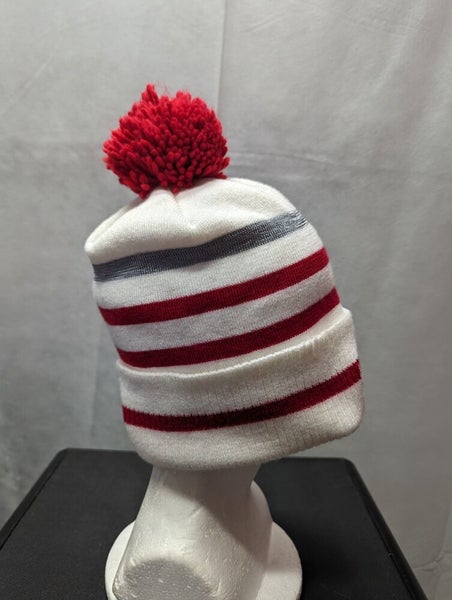 Detroit Red Wings Centennial Classic Reebok Winter Hat NHL
