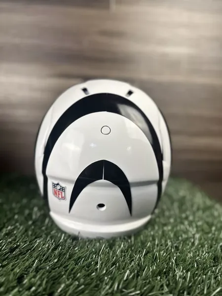 CUSTOM CINCINNATI BENGALS WHITE ALTERNATE Riddell Speed FULL SIZE HELMET