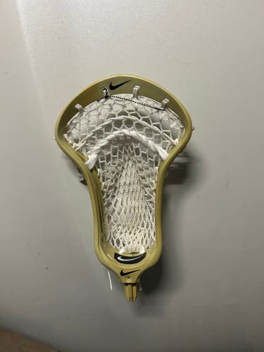 New FOGO Strung CEO 3 Head