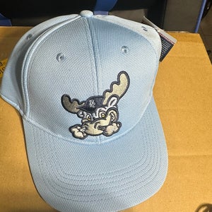 Blue Rocks MiLB Team New One Size Fits All Team Hat