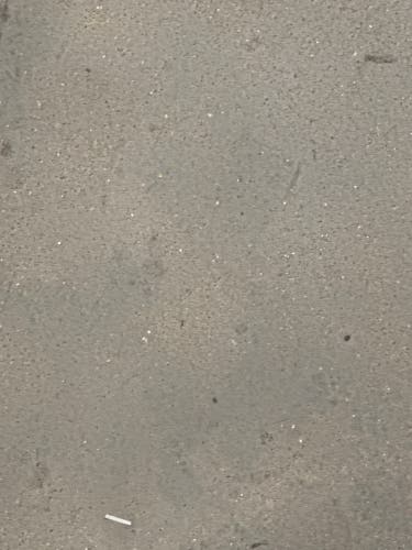 American eagle compression For Jersey