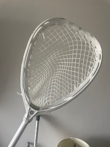 VGC Nemi Qs w/ Jimalax 12D