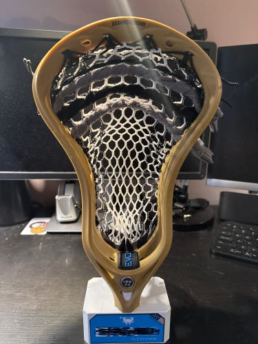 New Warrior EVO QX-O Head Brown