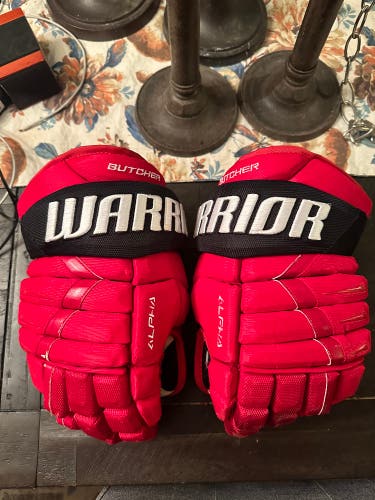 Used  Warrior 14" Pro Stock Alpha Pro Stock Gloves Devils