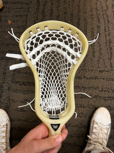 Bone ECD Strung DNA Head