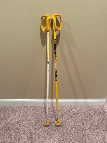 Used 48in (120cm) Scott Ski Poles