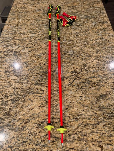 New 120cm and 125 Racing Ski Poles