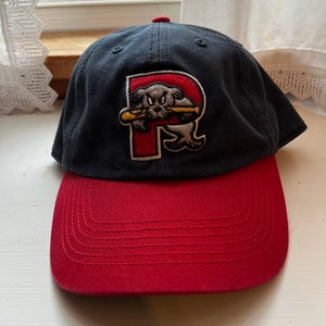 Portland Sea Dogs - Like New Used 47 Brand Hat