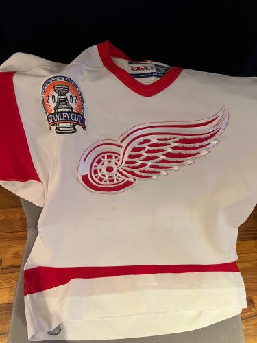 Dominik Hasek 2002 Stanley Cup Jersey