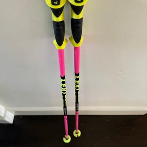 Used 40in (100cm) Leki Ski Poles