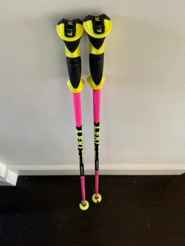 Used 40in (100cm) Leki Ski Poles