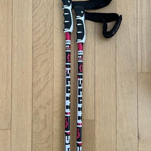 Scott Series 4 Aluminum Ski poles - 48“