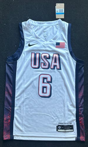 Lebron James jersey
