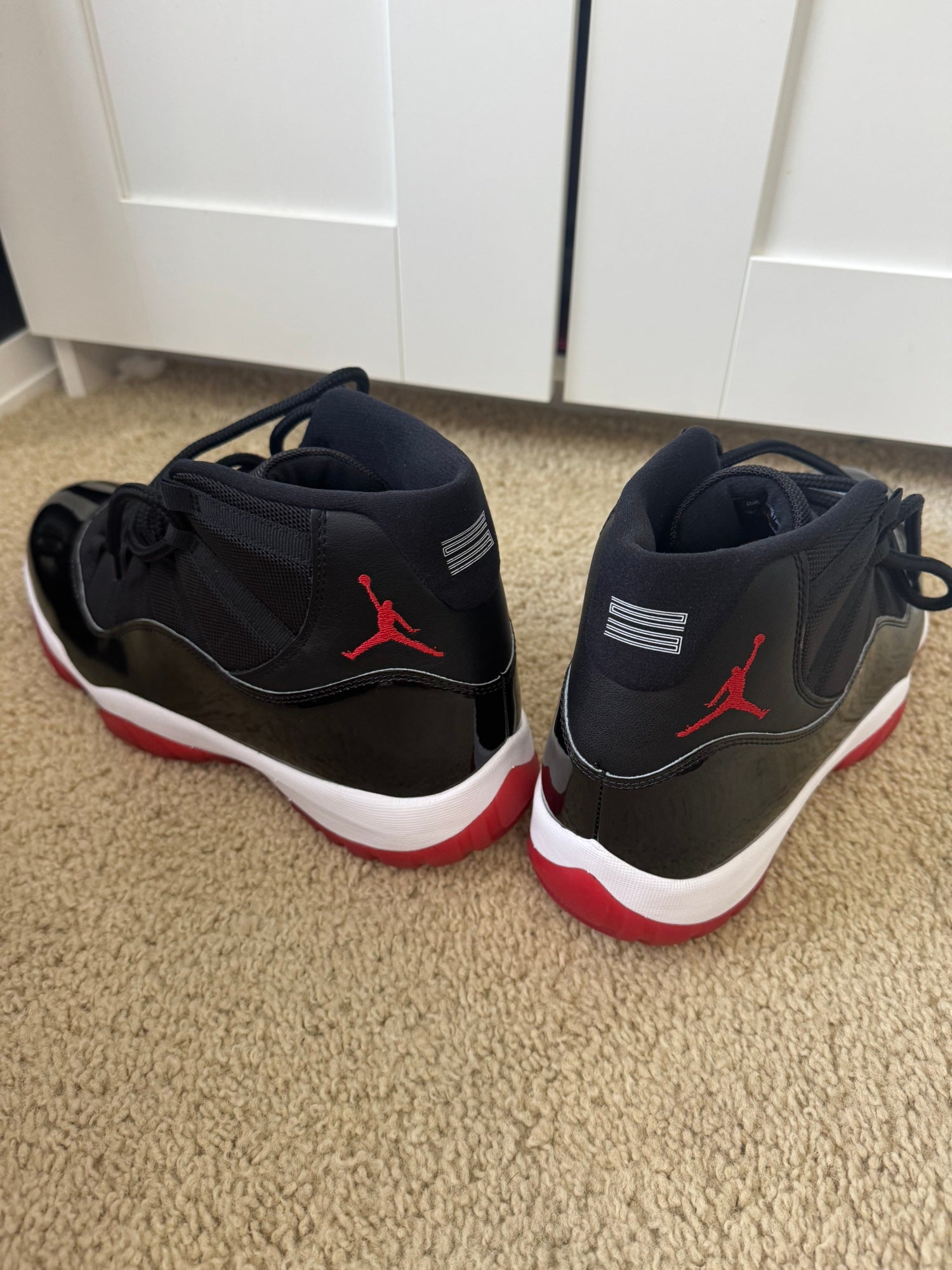 jordan bred size 13