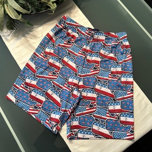 Vineyard Vines Shorts Youth Medium - New without tags