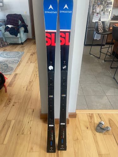 Used Racing Without Bindings Speed WC FIS SL Skis