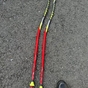 Leki GS poles
