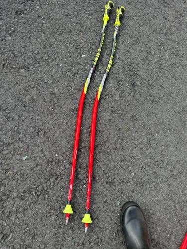 Leki GS poles