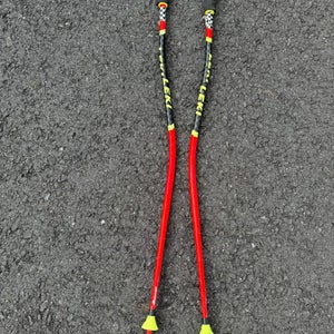 Leki gs poles